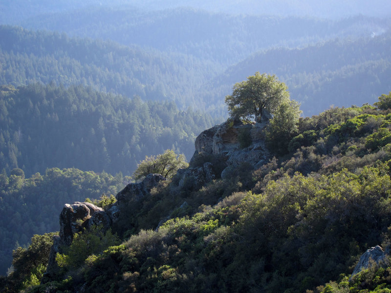 View from Castle Rock State Park.