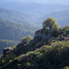 View from Castle Rock State Park.