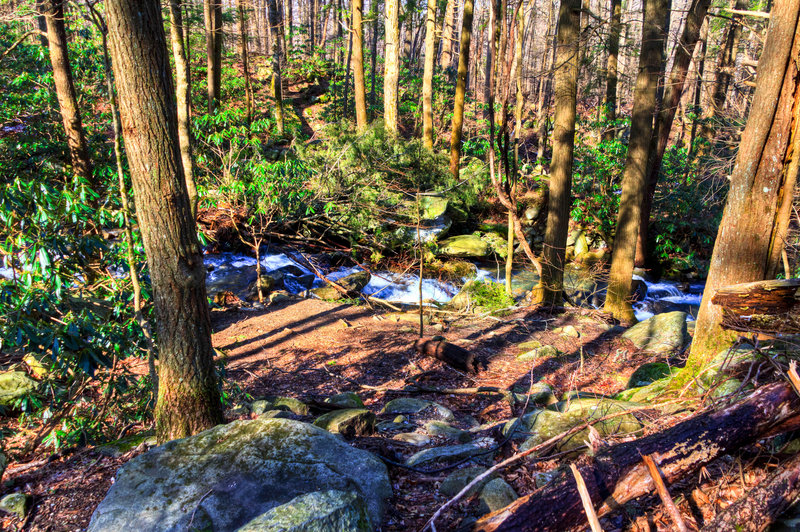 Great Smoky Mountains National Park - Rainbow Falls Trail