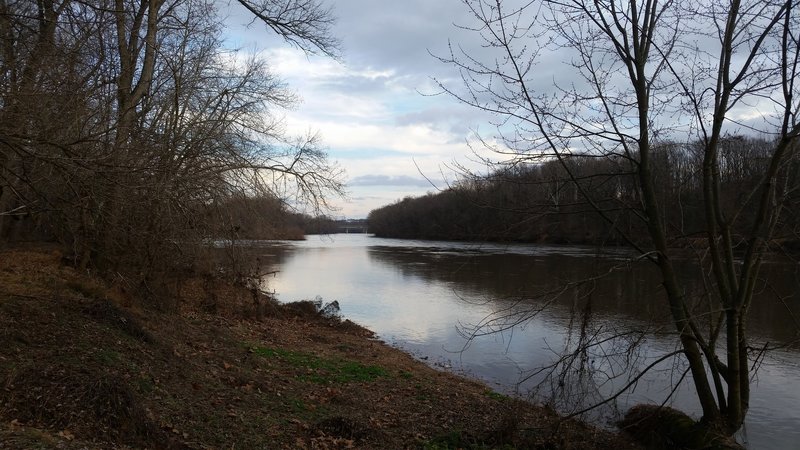 View of the Schuylkill River looking downriver from the River Trail.