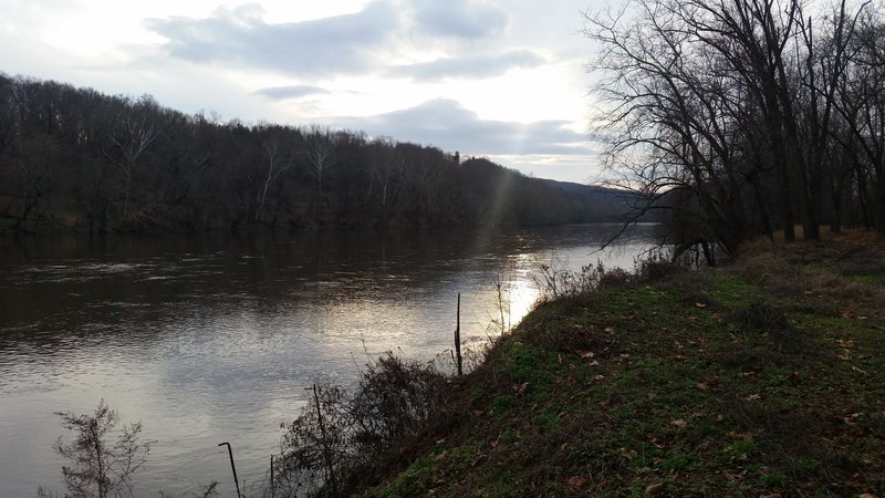 View of the Schuylkill River looking upstream from the River Trail.