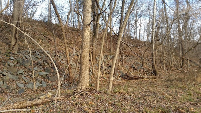 This large berm is part of the Schuylkill River Desilting project 1947-1951.