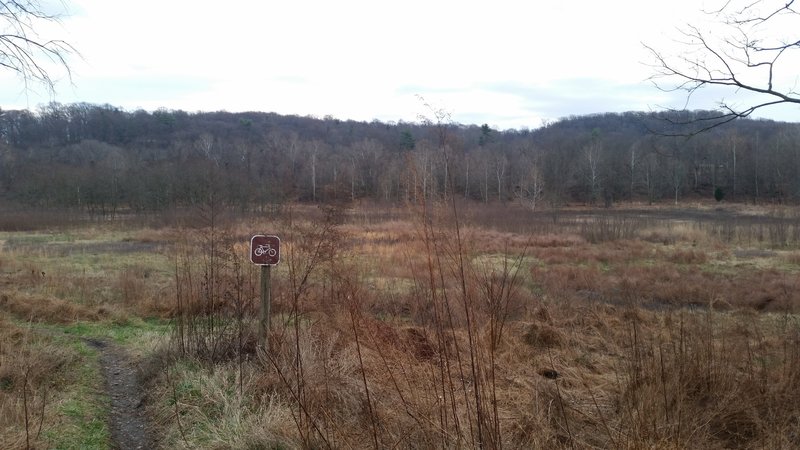 Looking south at the seasonal ponds in the Walnut Hill Desilting area.