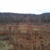 Looking south at the seasonal ponds in the Walnut Hill Desilting area.