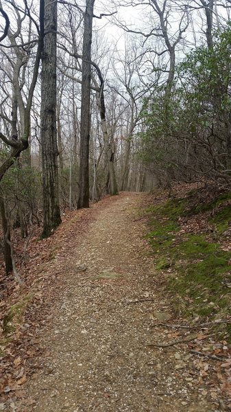 Nearly all of the Mount Joy trail is well maintained hard pack surface two people wide