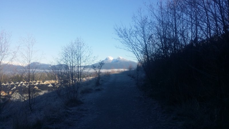 View of the Golden Ears mountains near the start of the trail.