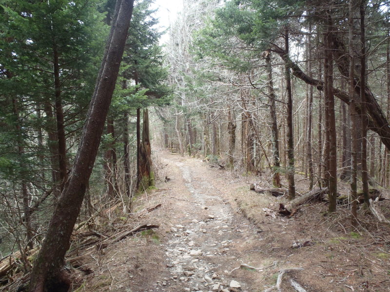 Starting the year off right with a New Year's Day hike.