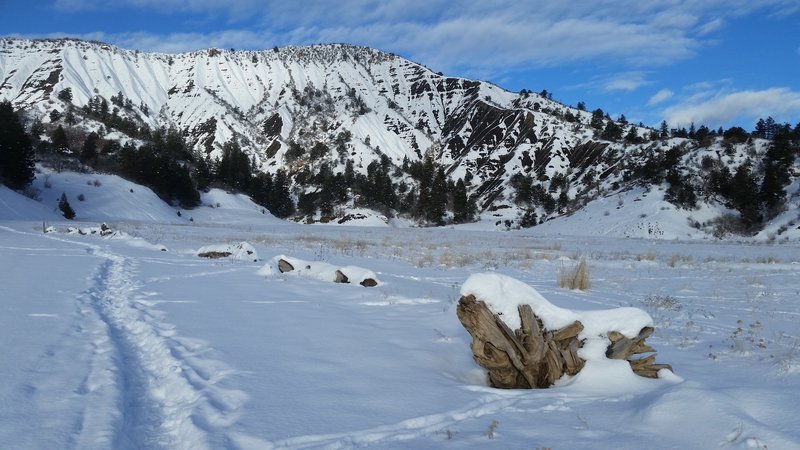 The meadow looking back at the Hogback.