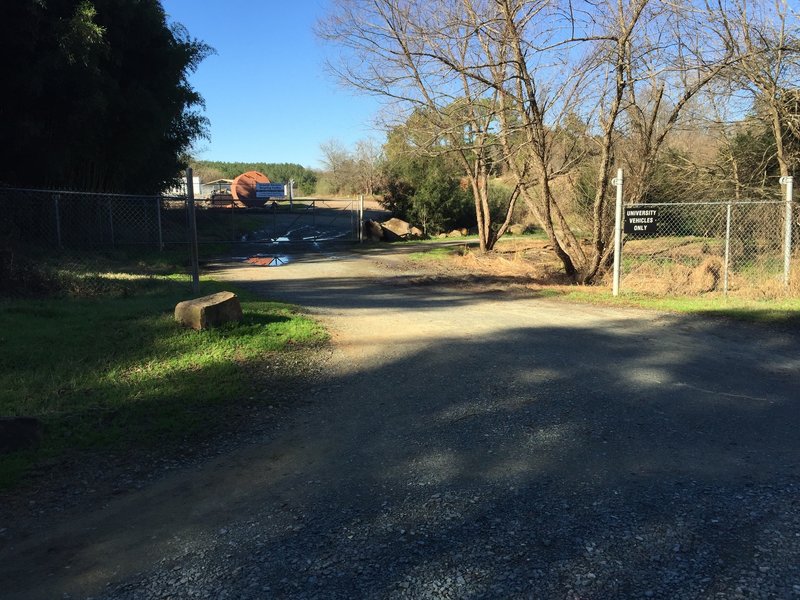 Intersection of Pumpkin Loop Trail with access road to Locust Parking Lot.