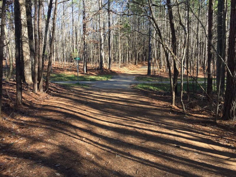 First intersection of Pumpkin Loop Trail with Carolina North Greenway.