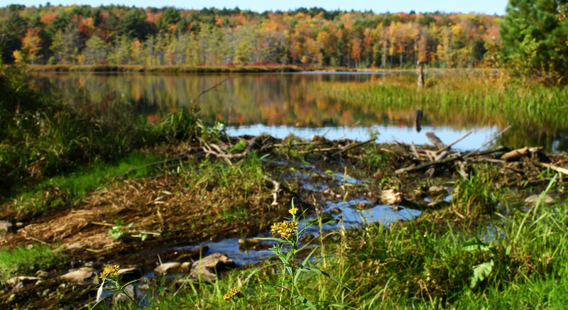 Oakley Corners pond.