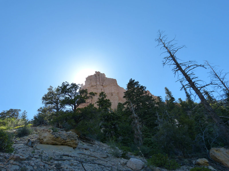 Bryce Canyon.