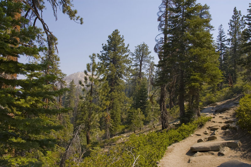 Looking up at Sentinel Dome.