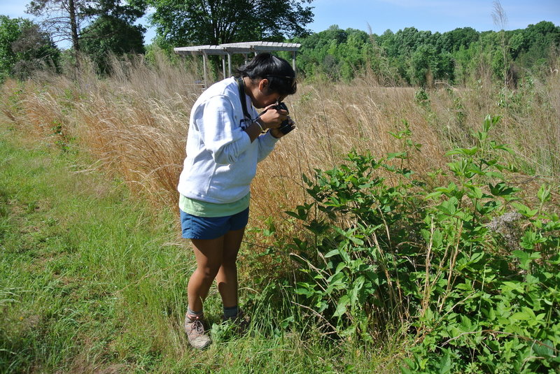 Photographing the grassland along the Holman Loop as part of REI's Introduction to Nature Photography class.