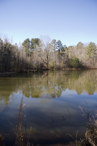 The pond along the Sowell Trail in January 2015