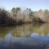 The pond along the Sowell Trail in January 2015