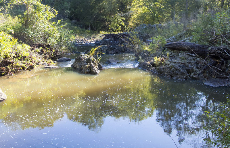 The powerline easement creates a sunny spot of the creek where water accumulates into a convenient swimming hole.