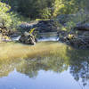 The powerline easement creates a sunny spot of the creek where water accumulates into a convenient swimming hole.