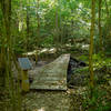 Boardwalks allow you to cross the bottomland floodplains without getting your feet too wet though still expect some water on the trails throughout the year.