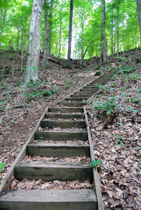 The stairway up the Beech Bluff is short, but steep. Take a moment at the top to catch your breath and enjoy the view!