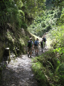 A view of the trail - smooth and easy at this point.