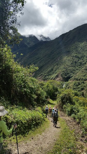 Most of this trail was smooth and easy to walk on.