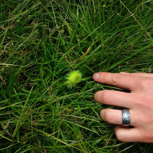 A very cool-looking caterpillar. We didn't touch it.