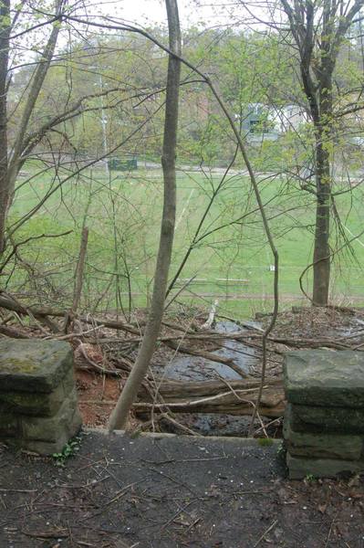 Old foundation stones near the beginning of the trail.