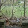 Old foundation stones near the beginning of the trail.