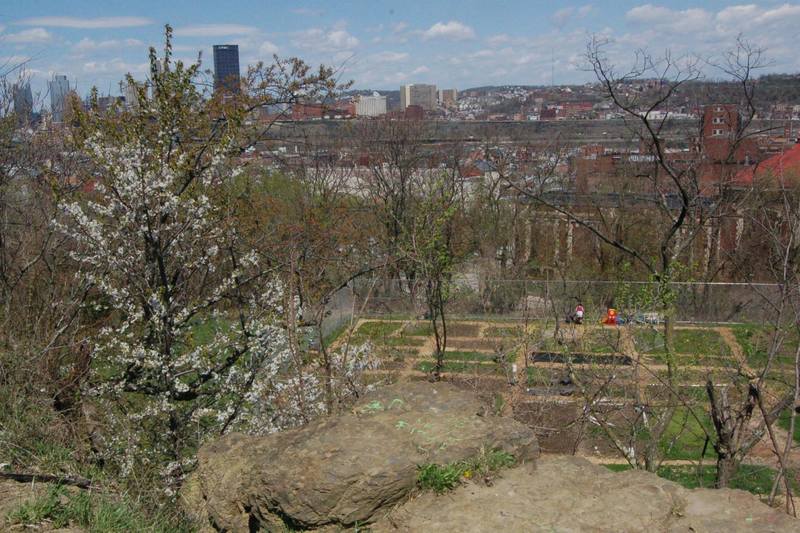 View from the plateau toward Bandi Schaum Field. There are also amazing views of downtown Pittsburgh.