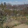 View from the plateau toward Bandi Schaum Field. There are also amazing views of downtown Pittsburgh.