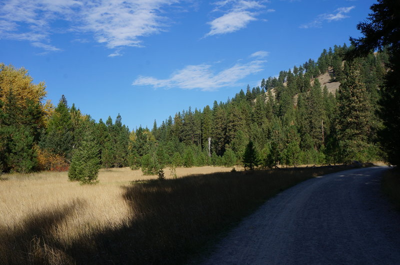 Main Rattlesnake Trail #515