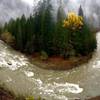 Looking at the Great Bend of the North Fork of the Skokomish River in Olympic National Park