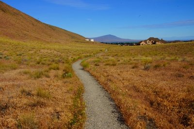 The Badger Flats Trail makes for straight & level footing.