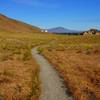 The Badger Flats Trail makes for straight & level footing.