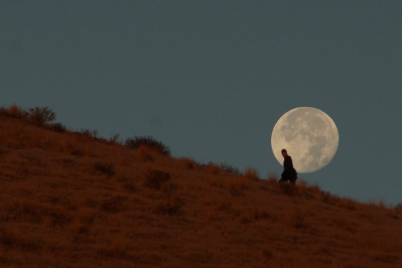 A moonlit walker makes her way up the Canyon Trail.