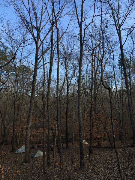 Beech Bottom Campsite, near the Pine Mountain Trail is a good place to spend a night in early February.