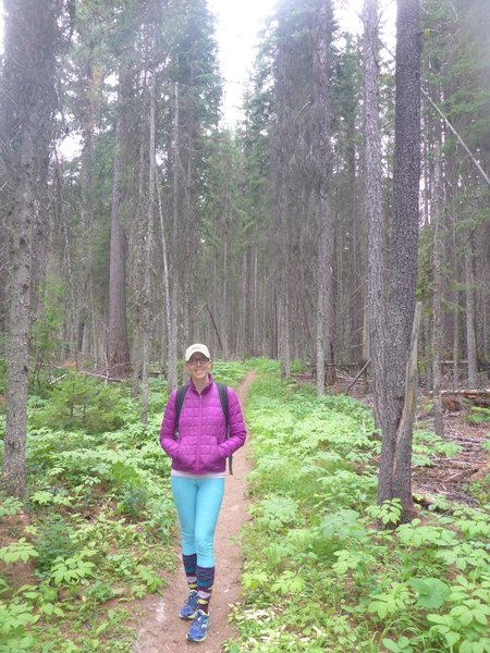 Just getting started on the lower Huckleberry Lookout Trail.