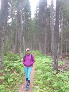 Just getting started on the lower Huckleberry Lookout Trail.