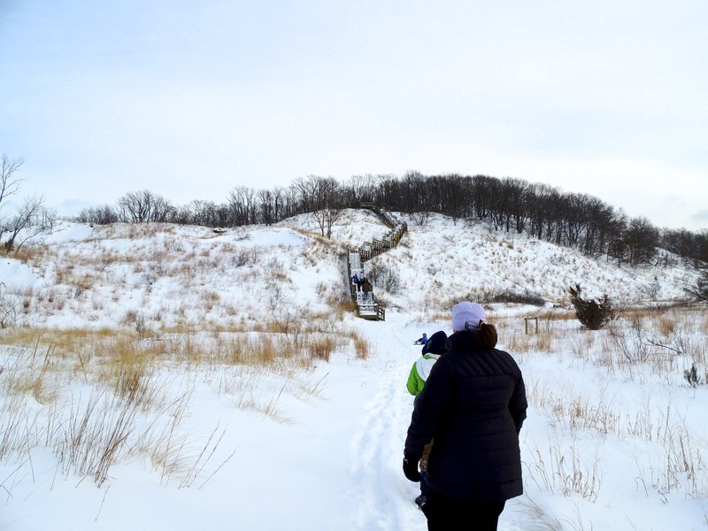 Approach the stairs on the Dune Succession Trail.