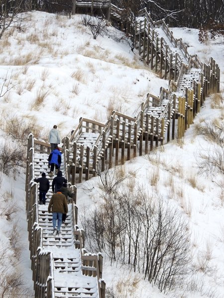 Climbing the Dune Succession Trail stairs.