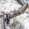 Climbing the Dune Succession Trail stairs.