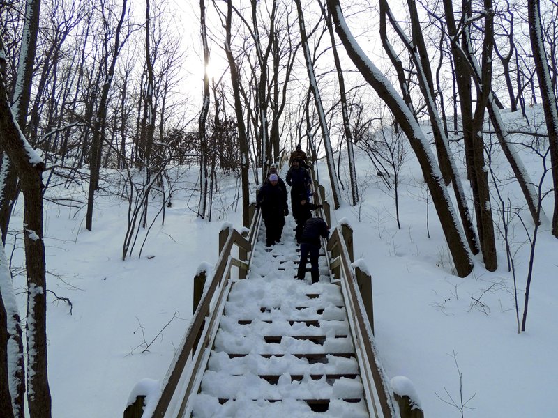 Dune Succession trail stairs.