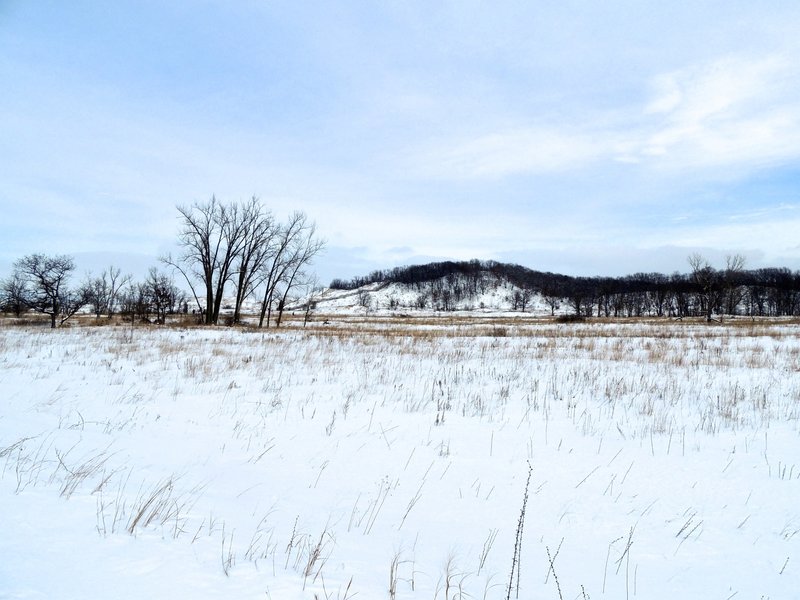 Winter landscape at West Beach.