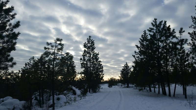 Spokane sunset