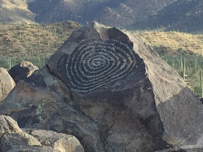 While you make your way on the Manville Trail, stop to appreciate the petroglyphs on Signal Hill.