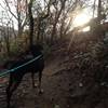 Me and my pup, on a recent outing to run the buttermilk trail. This photo was taken by the 21st St. entrance.