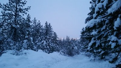 Dusk falls over the Pond Loop Trail in winter.