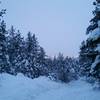 Dusk falls over the Pond Loop Trail in winter.