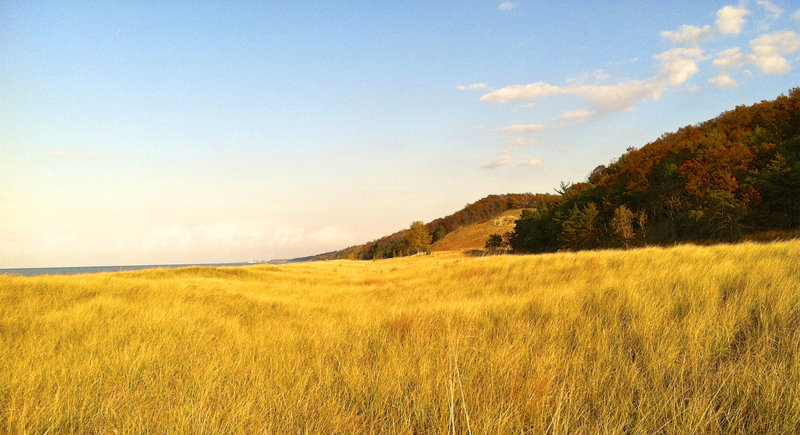 Marram grass along Lake Michigan as seen from the Cowles Bog Trail.